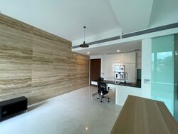 The Scotts Tower (D9), Condominium #296446491